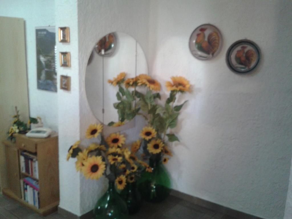 B&B Il Girasole 노토 외부 사진