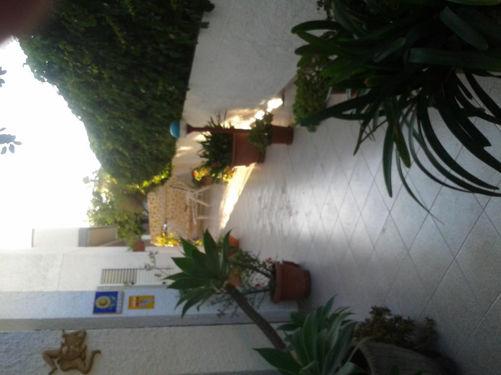 B&B Il Girasole 노토 외부 사진
