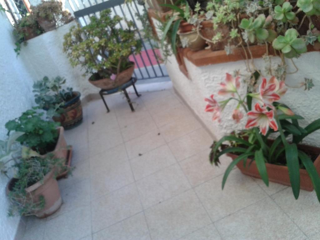 B&B Il Girasole 노토 외부 사진