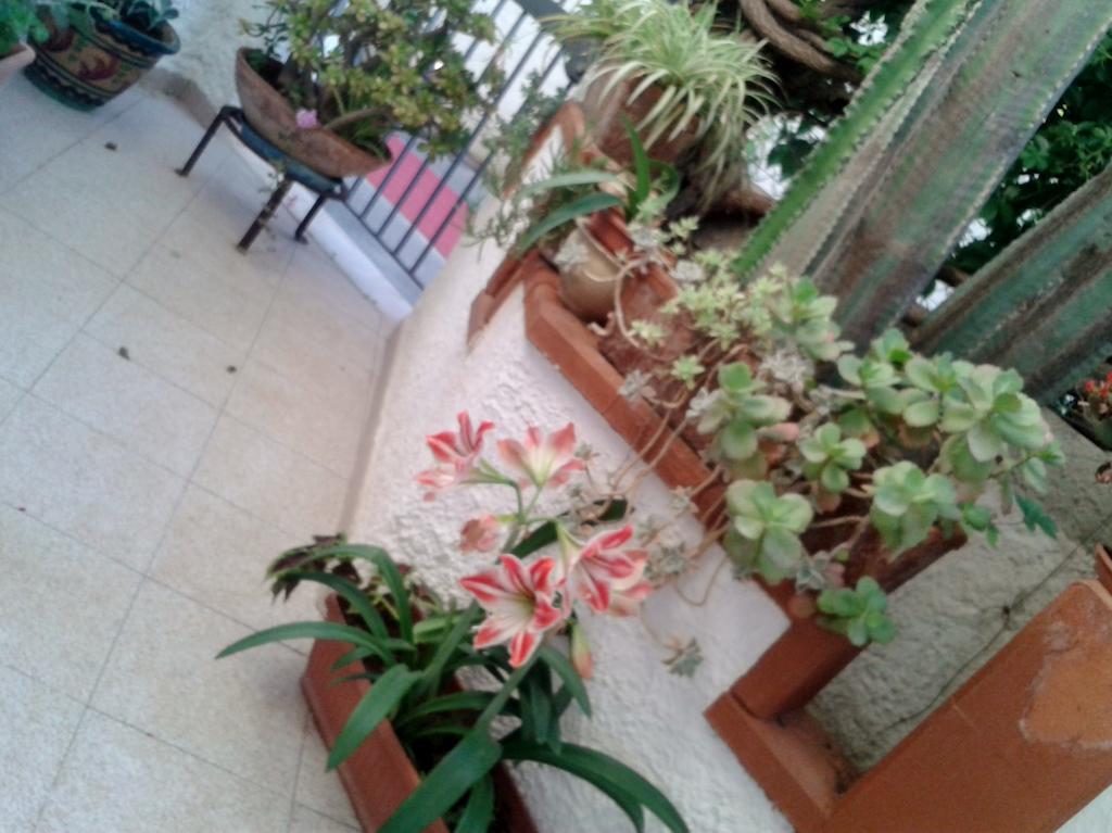 B&B Il Girasole 노토 외부 사진